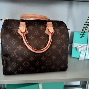 Louis Vuitton classic speedy 25 in monogram